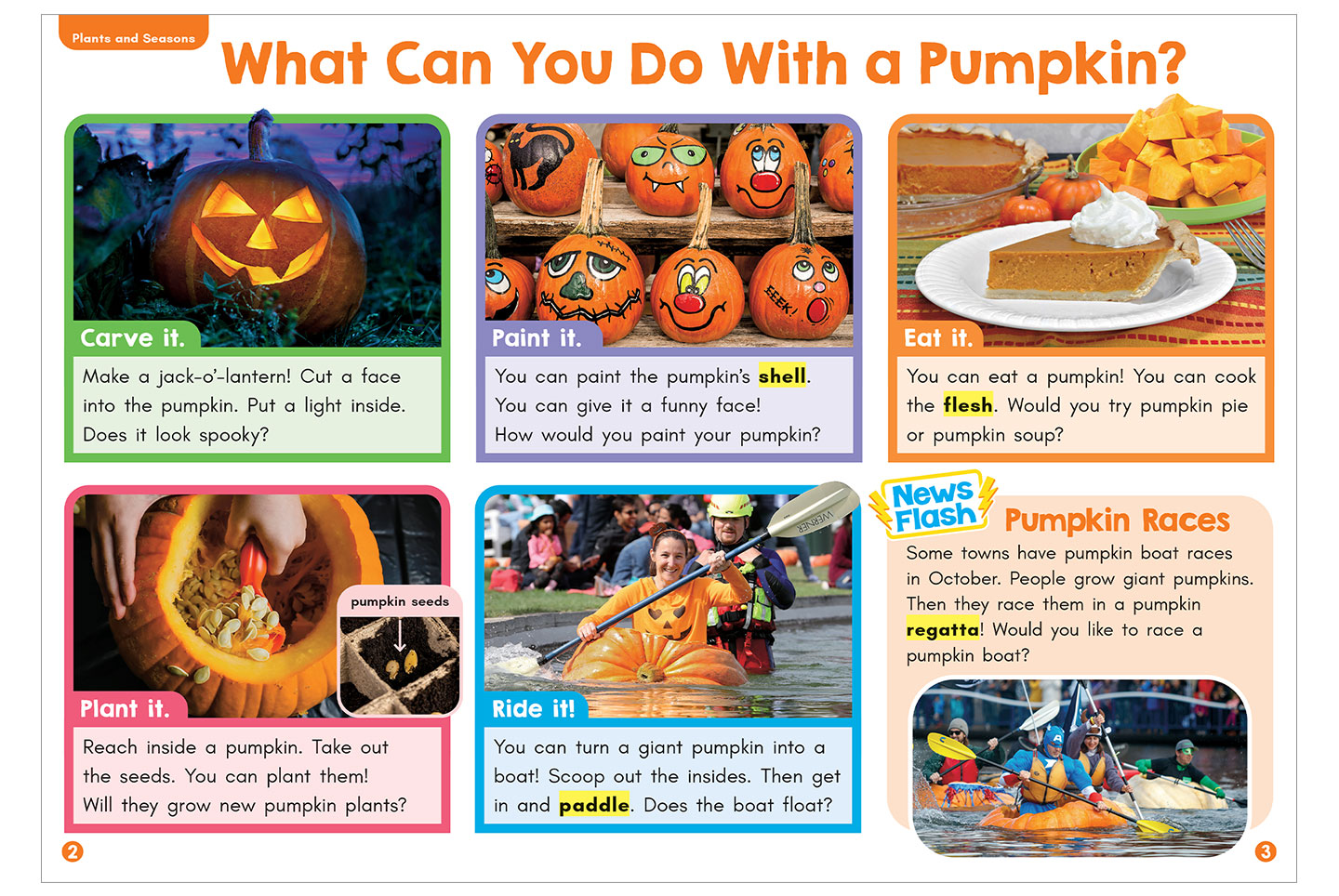 A collage explores ways to use a pumpkin, including carving, painting, eating, planting, and riding