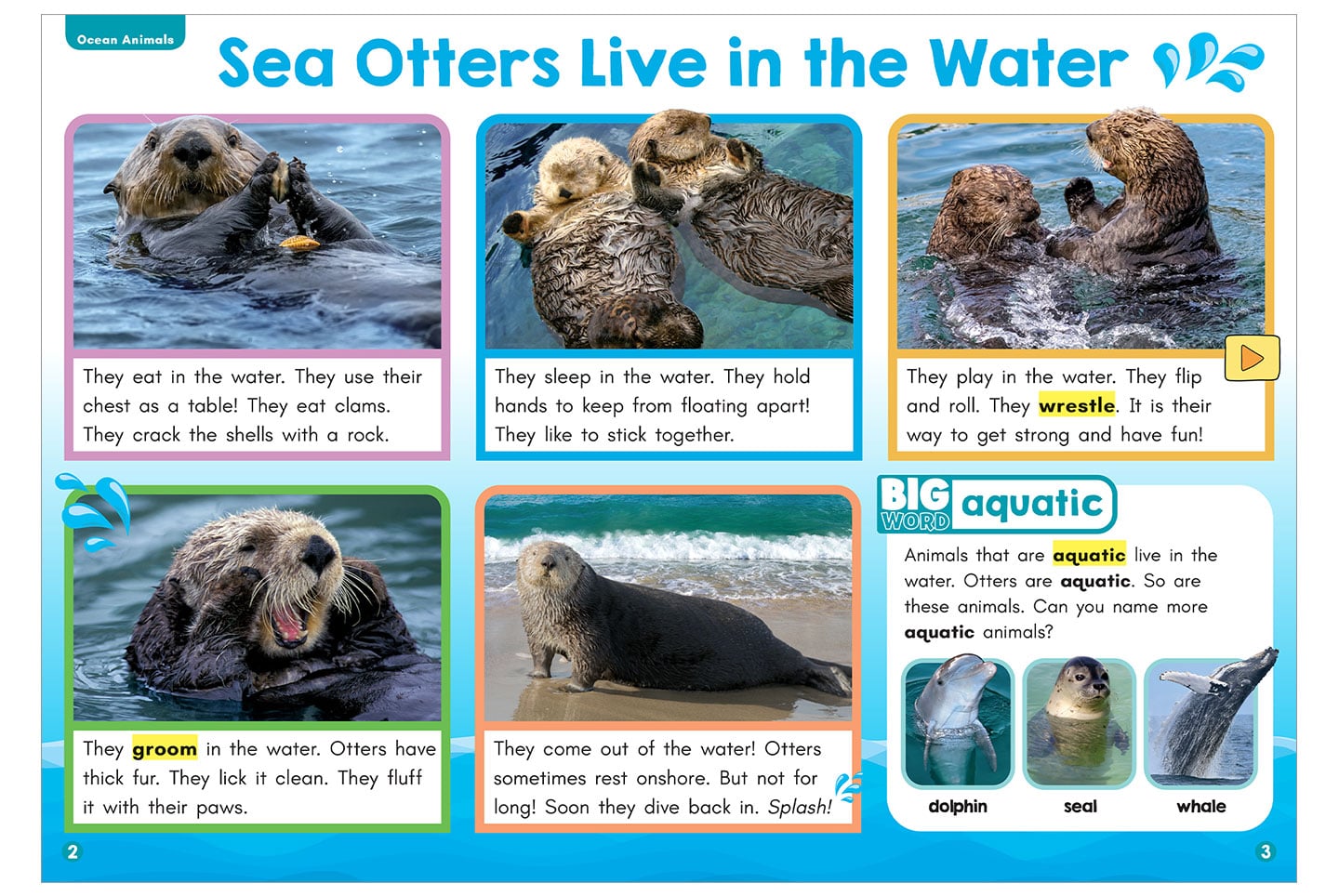 An educational page about sea otters that eat, sleep, play, and groom in the water