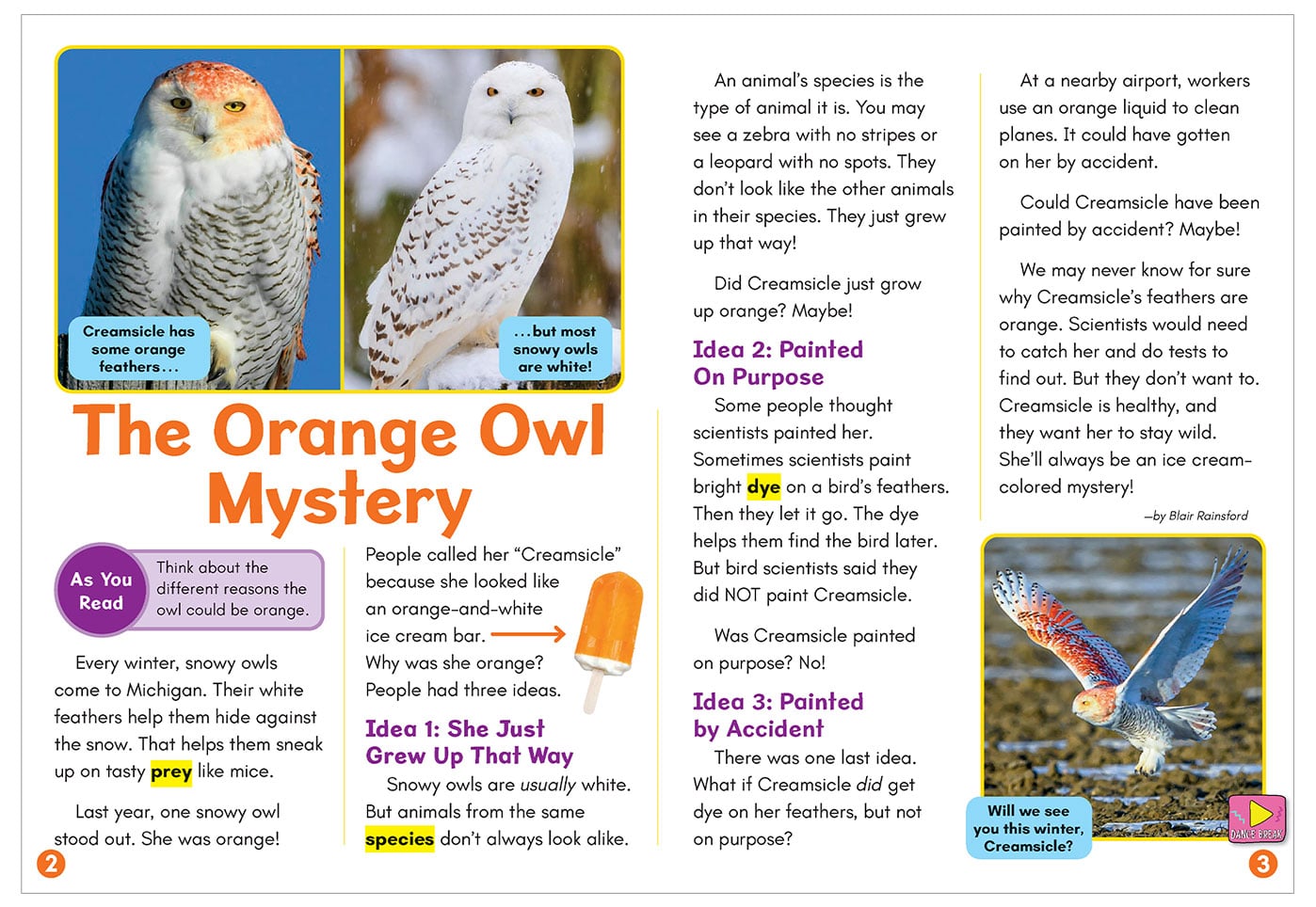 A magazine spread titled The Orange Owl Mystery shows photos of Creamsicle, an orange snowy owl, in flight and at rest beside a typical white snowy owl