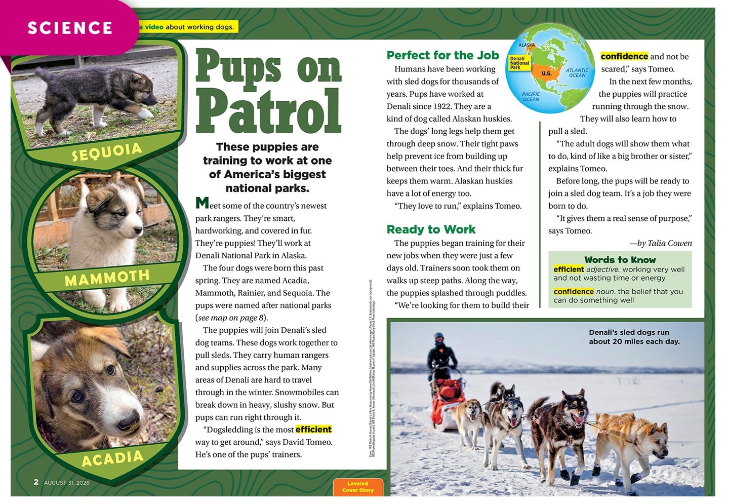 A magazine spread titled Pups on Patrol features three puppy photos labeled Sequoia, Mammoth, and Acadia, alongside a sled dog team pulled across a snowy landscape