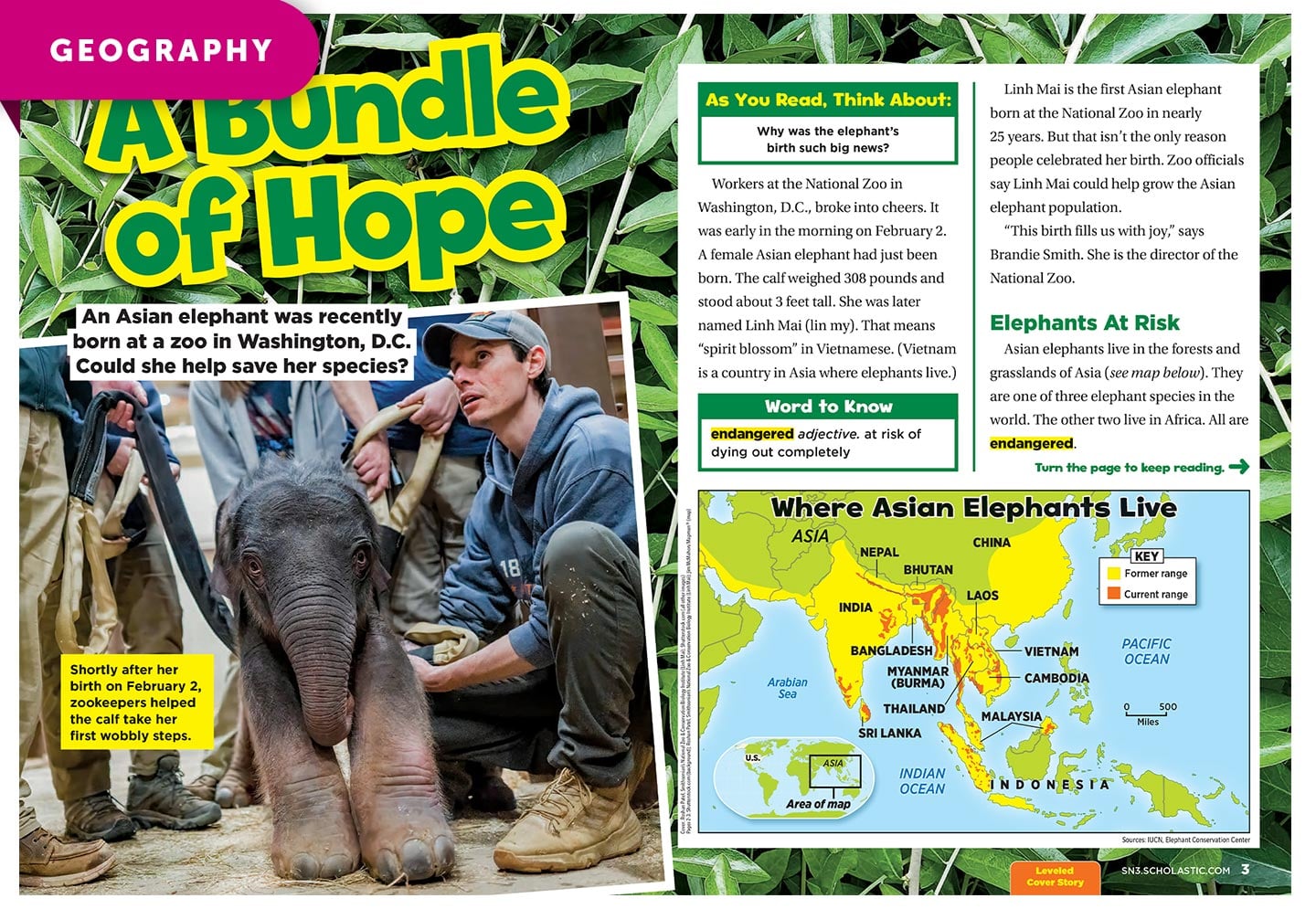 A zookeeper crouches beside a newborn elephant calf at the National Zoo
