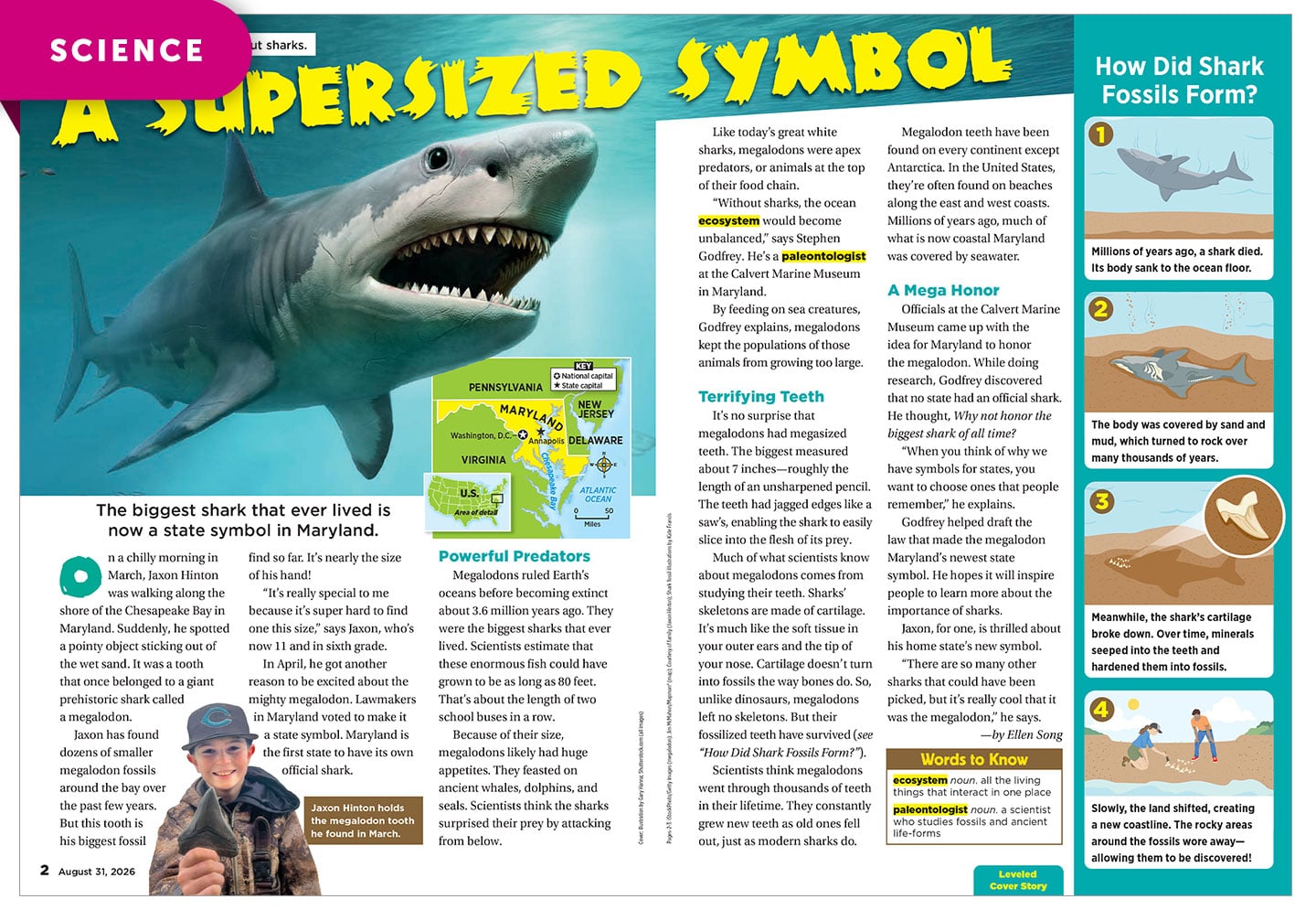 A magazine spread about the megalodon shark as a Maryland state symbol, with photos, a map, and fossil diagrams