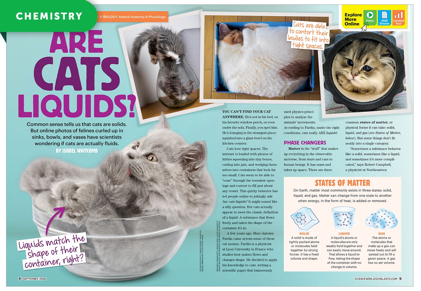 A magazine spread titled Are Cats Liquids shows cats squeezed into bowls, jars, and a tube