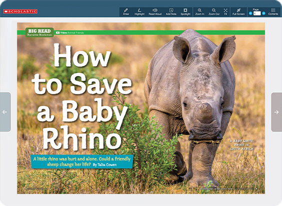 Cover of How to Save a Baby Rhino, a baby white rhino stands in a grassy field in South Africa