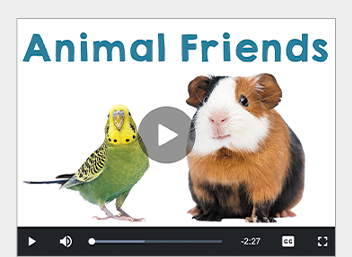 Video titled Animal Friends, with a green parakeet and a guinea pig