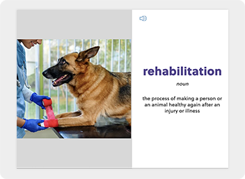 A German shepherd receives treatment on its leg alongside the definition of rehabilitation