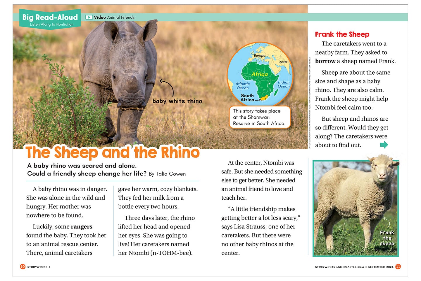 A magazine spread about a baby white rhino and a sheep named Frank in South Africa