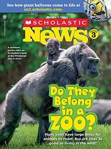 Scholastic News Magazine on Behance