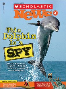 Magazine Display Image3