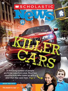 Magazine Display Image4