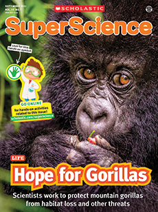 Scholastic Magazines For 5th Graders Scholastic Classroom Magazines