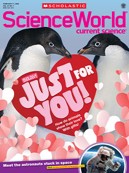 Magazine Issue Cover
