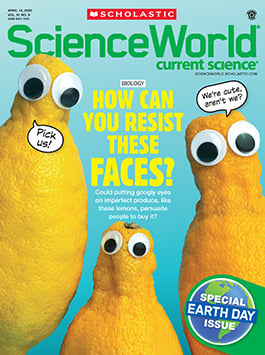 Magazine Issue Cover